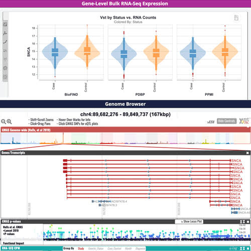 Gene Explorer App