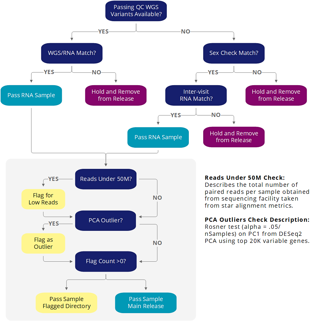 RNASeq Decision Tree