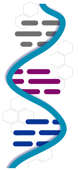 RNA Strand