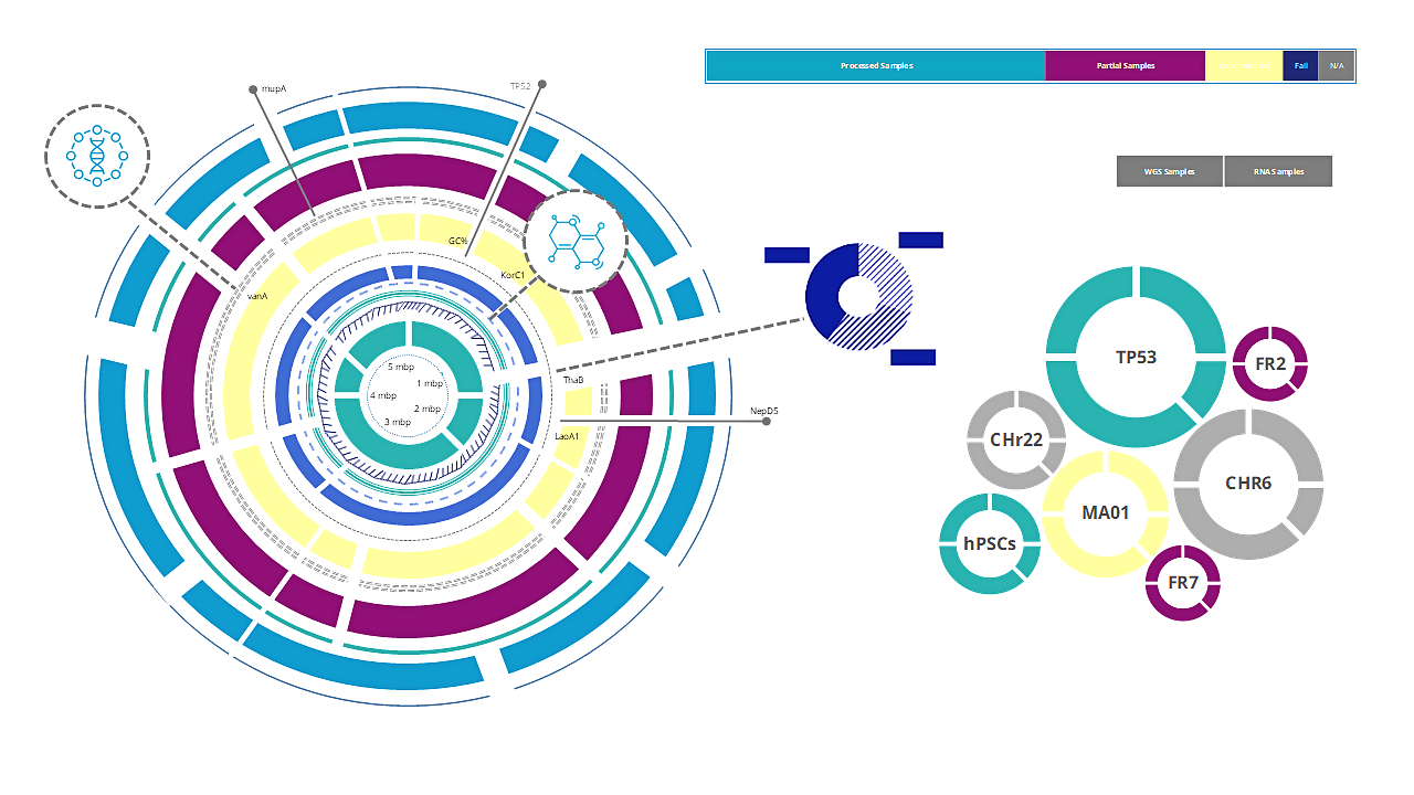 Genomic Visualization