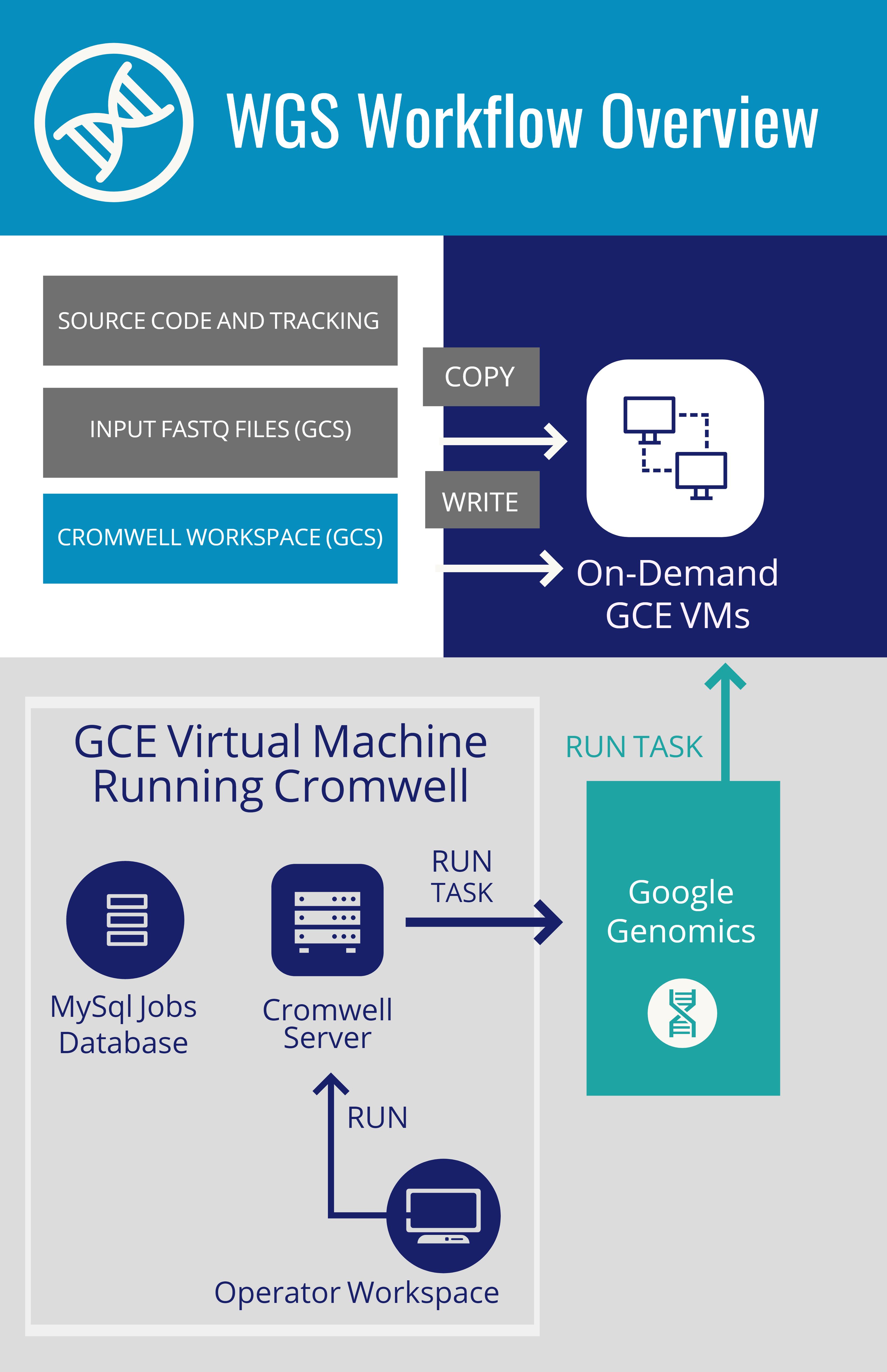 WGS Workflow Overview